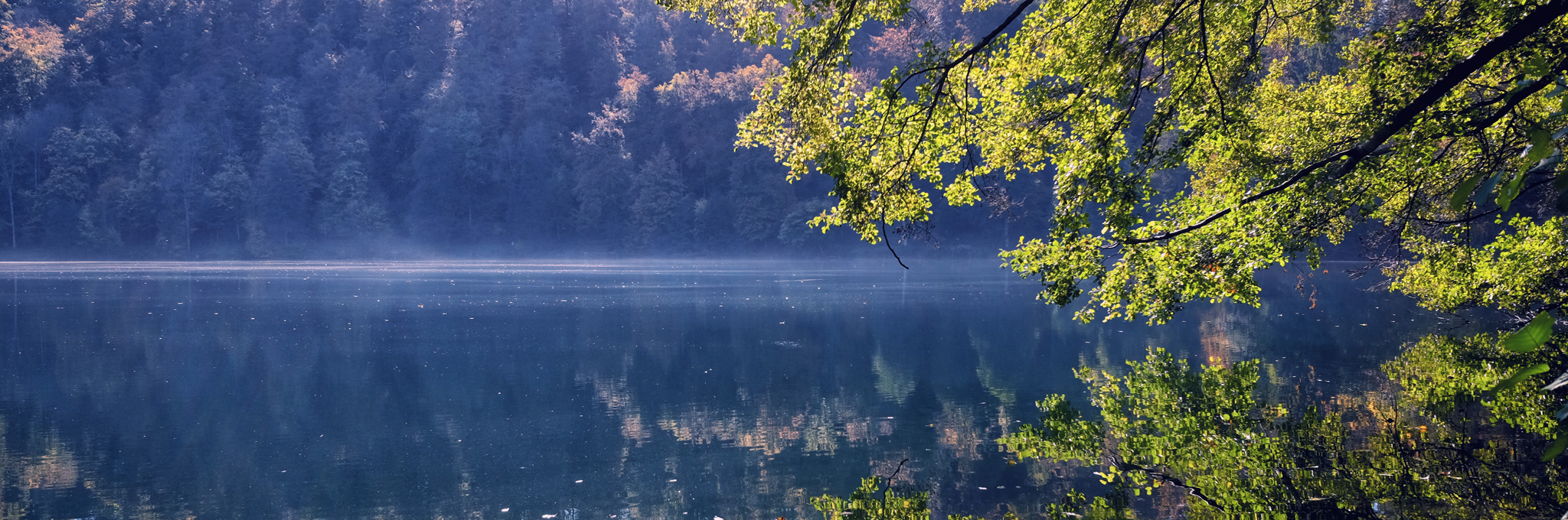 Psychotherapie Krefeld Birgit Hartkopf Psychotherapie Krefeld